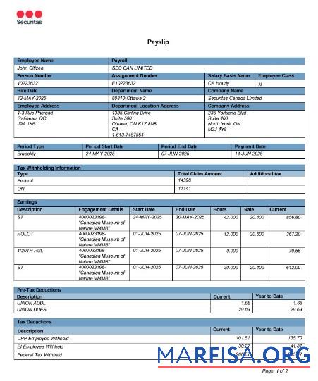 Printable Canada Online Payslip example